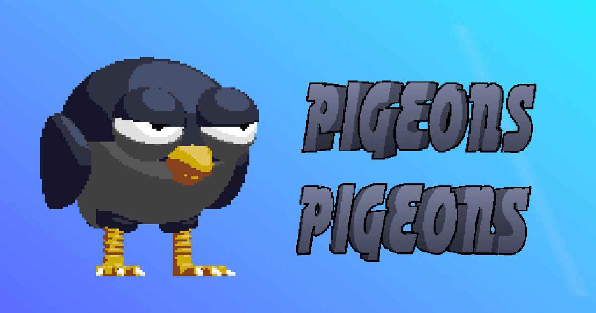Image Pigeons Pigeons